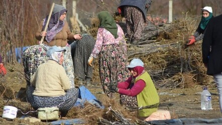 Bursa'da üretiliyor, 9 ülkeye ihraç ediliyor: 10 milyon dolar gelir - turkiye