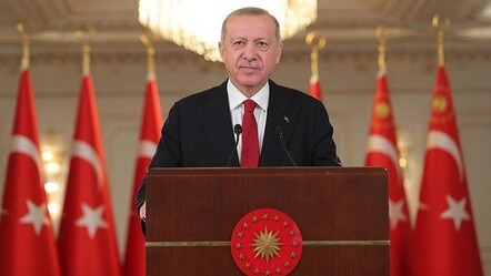 Cumhurbaşkanı Erdoğan'dan Interpol'e çağrı: Dayanışma bekliyoruz - gundem