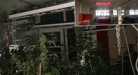 İstanbul’un göbeğinde milyonluk zehir serası - ekonomi