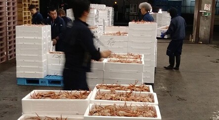 Japonya'daki açık artırmada yengeç 427 bin TL'ye satıldı - dunya