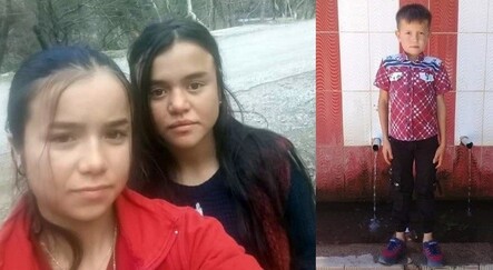 Kayıp 2 kardeş bulundu, 1’i hala aranıyor - yasam