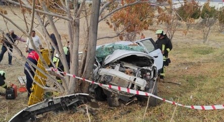 Köpeğe çarpmamak için kaza yapan araçtaki kadın yaşamını kaybetti - dunya
