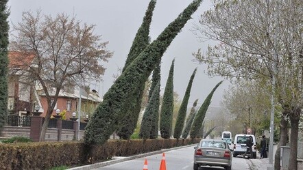 Meteoroloji'den 4 il için fırtına uyarısı: Yarına dikkat! - yasam
