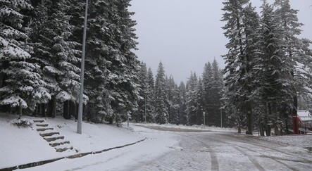 Mevsimin ilk karı düştü: Ilgaz Dağı beyaza büründü - gundem