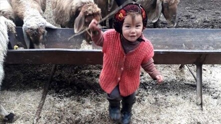 Müslüme'nin ailesi adliye sevk edildi - yasam
