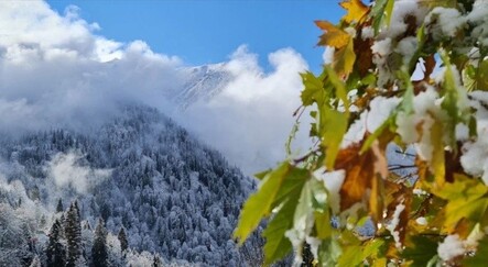 Rize'nin yüksek kesimlerinde kar yağışı etkili oldu - yasam