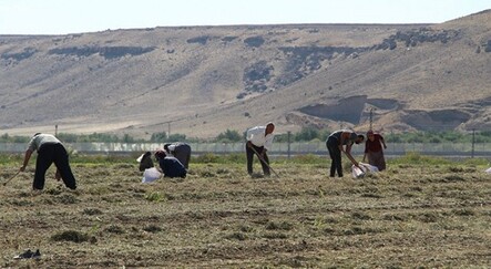 Terörden arındırılan Şırnak’ta çiftçiler üretime yöneldi - gundem