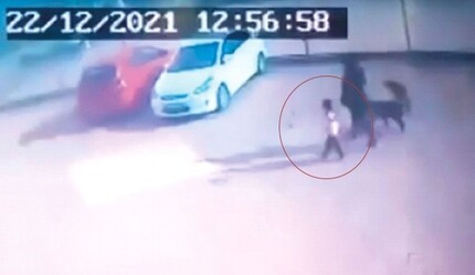 Asiye o köpeklerle böyle oynamış! Pitbull dehşetinde yeni görüntüler - gundem