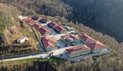 Belediyelerden barınak yarışı: Sokak hayvanlarına 5 yıldızlı bakım - dunya