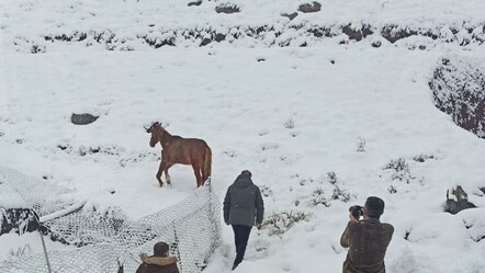 Bingöl’de iki ilçede eğitime kar engeli - egitim