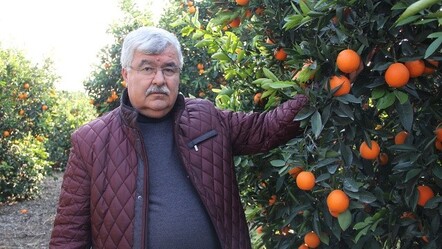 Çiftçilerden tepki: Döviz düştü, gübre niye düşmüyor? - ekonomi