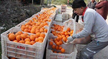 Dalında 1,5 TL, zincir markette 5,90! - ekonomi