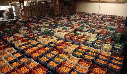 İstanbul Ziraat Odası Başkanı Demir'den 'İhtiyacımız olan ürünü ihraç etmeyelim' çağrısı - ekonomi