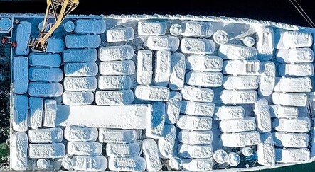 Japonya'dan gelen yük gemisinde ilginç görüntü - dunya