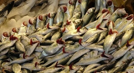 Kar yağdı balık tezgahlarında fiyatlar düştü - ekonomi