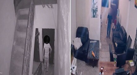 Köpekleri silah olarak kullanan pitbullcu çete çökertildi - yasam