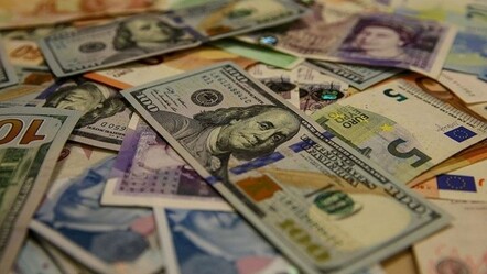 Merkez Bankası'nın sattığı dolar miktarı belli oldu - ekonomi