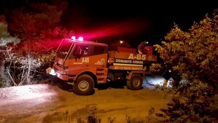 Osmaniye’de çıkan orman yangını söndürüldü - yasam