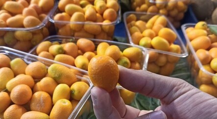 Şeker hastalarının gözdesi kamkat tezgahlarda yerini aldı - saglik