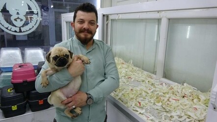 Sosyal medyadan şifreli hayvan satışı: 'Gelin, damat arıyoruz' - yasam