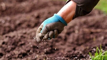 Tarım Kredi Kooperatifleri gübre fiyatlarında indirime gitti - ekonomi