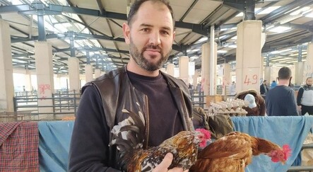 Tavuk satışları patladı: Markette 30 lira olan tavuk pazarda 10 lira - yasam