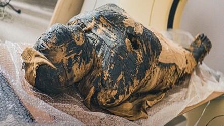 2 bin yıllık mumyanın karnındaki bebek ortaya çıktı - kultur-sanat