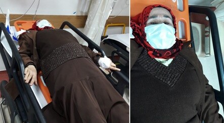 Aydın'da sokak köpekleri dehşet saçtı! Yaşlı kadın hastanelik oldu - yasam