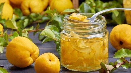 Ayva akciğerleri temizliyor, ayvanın faydaları saymakla bitmiyor ( Avya yaprağı çayı tarifi) - saglik