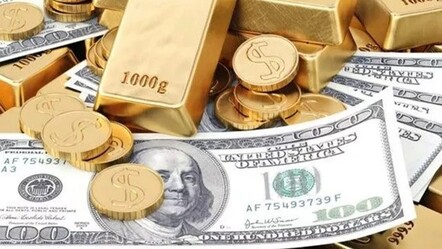 Dünyaca ünlü uzmandan açıklama: Altın ve dolar yerine 'bu 3 şeyi alın' - ekonomi