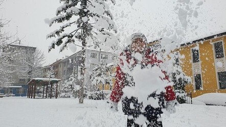 Eğitime kar engeli: Muş genelinde okullar tatil edildi - yasam