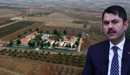 Hayvan barınakları için teşvik müjdesi: Hazineden arsa, bankadan para - gundem