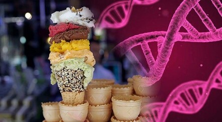 Hazır gıda tüketenler dikkat! Öldüren bakteri şeker seviyor - saglik
