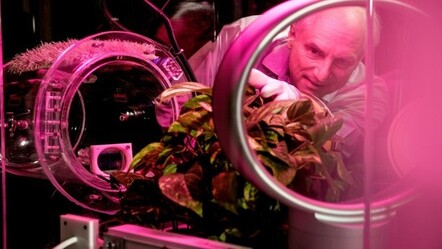 Karbonu yakalayan 'mekanik ağaç' üretildi - ekonomi