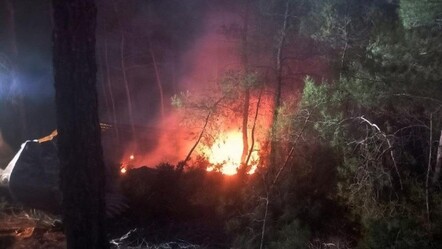 Muğla'da orman yangını çıktı - yasam