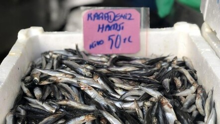 Olumsuz hava tezgahları boş bıraktı, hamsinin fiyatı el yaktı - gundem