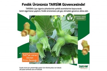 TARSİM: 'Fındık için son sigorta tarihi 28 Şubat' - ekonomi