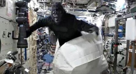 Uzayda goril kostümü giyen astronot gerçeği açıkladı: Komik görünmesi için kurguladık - teknoloji