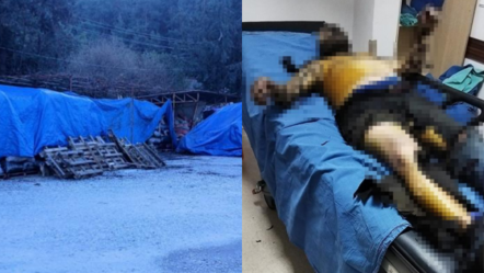 Zabıtaya kızıp kendini yakan kömürcü hayatını kaybetti - ekonomi
