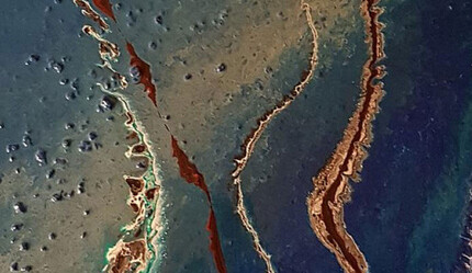 Deniz altından çıkan resimler - ekonomi