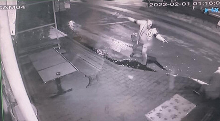 İstanbul'da köpek besleme kavgası - yasam