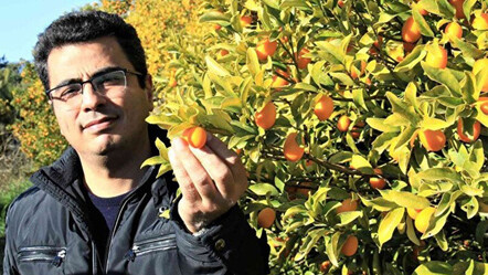 İtalyanlar Türkiye'deki meyveye talip oldu: Dünyada sayılı ülkede yetiştiriliyor - dunya
