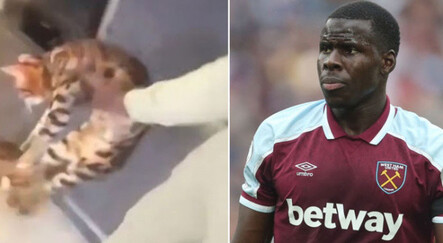 Kurt Zouma’dan skandal hareket: Çocuğunun gözü önünde kedisini tekmeledi - spor