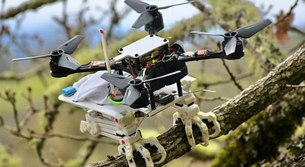 Kuş gibi hareket edebilen robotik drone - editorun-sectikleri