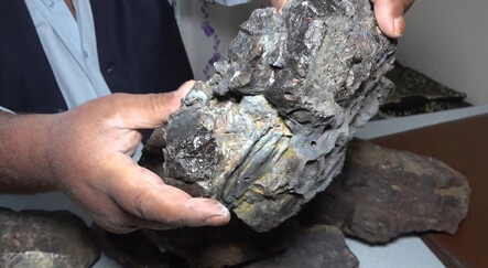 Mantar için çıktı, 100 kilogram gök taşı topladı - ekonomi