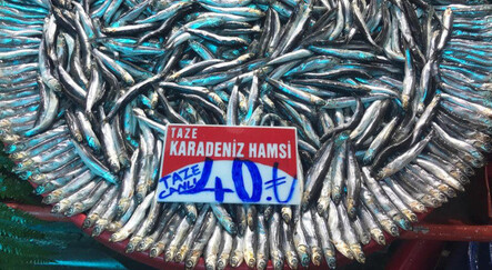Soğuk hava ve artan maliyet 'hamsi'yi vurdu - yasam