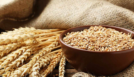 Gıda milliyetçiliği dünyayı korkutuyor - ekonomi