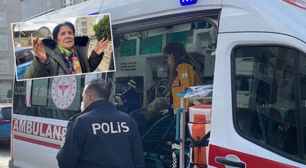 İlaçlama bahanesiyle girdikleri evde yaşlı kadına dehşeti yaşattılar - gundem