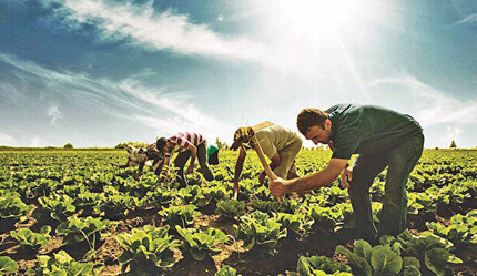 İşin uzmanları anlattı! İşte tarımın kurtuluş reçetesi - gundem
