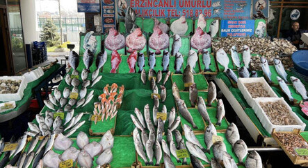 Mayın endişesi balık fiyatlarını arttırdı - dunya